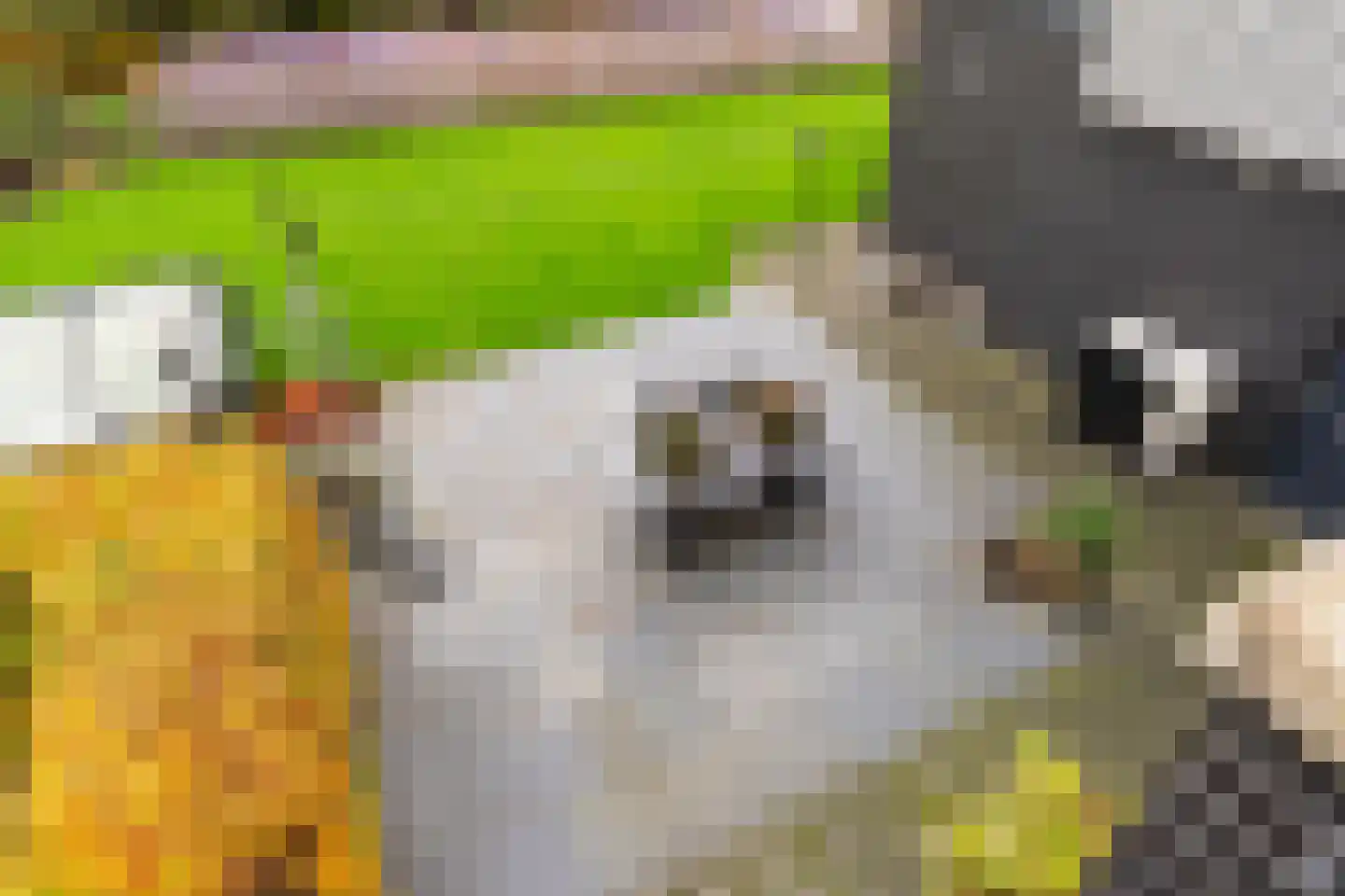 Zandweegbree 4 Wolvega thumbnail 30