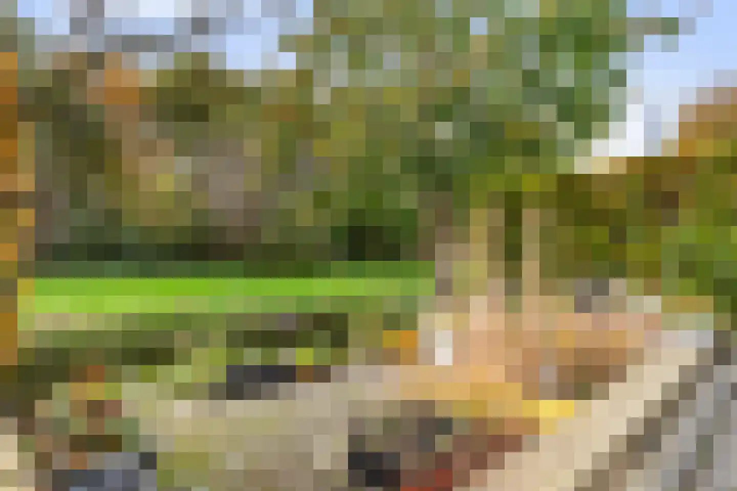 Zandweegbree 4 Wolvega thumbnail 32