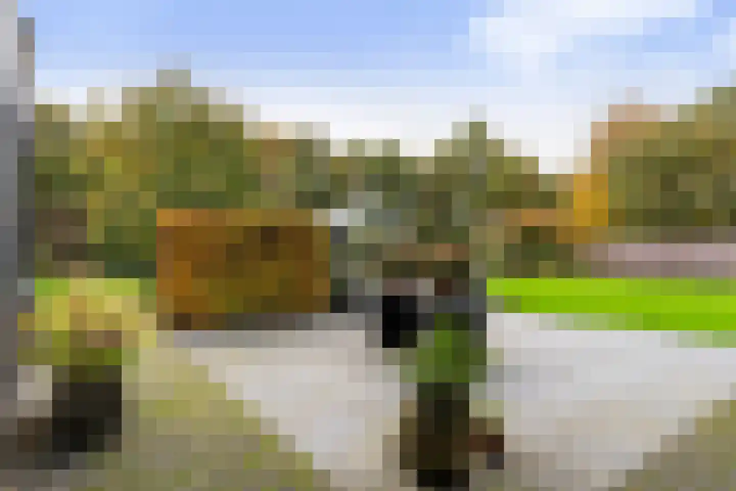 Zandweegbree 4 Wolvega thumbnail 36