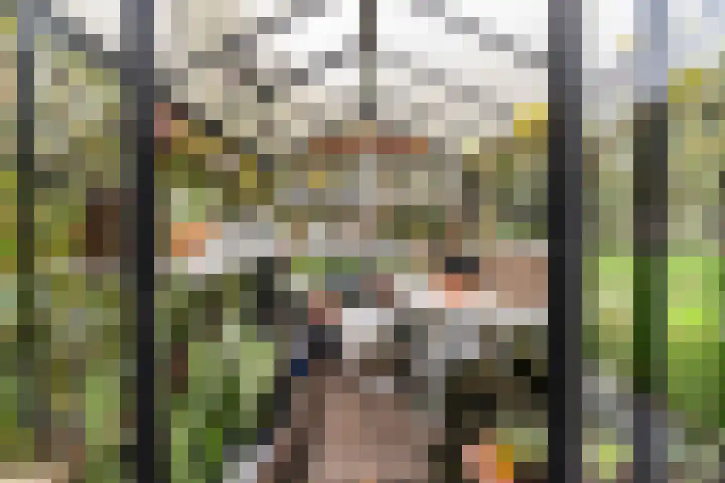 Zandweegbree 4 Wolvega thumbnail 37