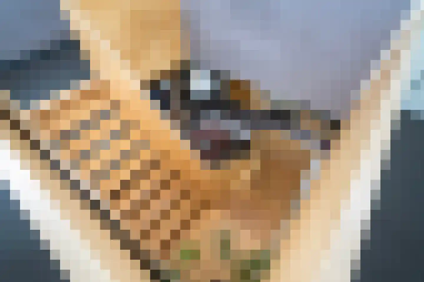 Zandweegbree 4 Wolvega thumbnail 38
