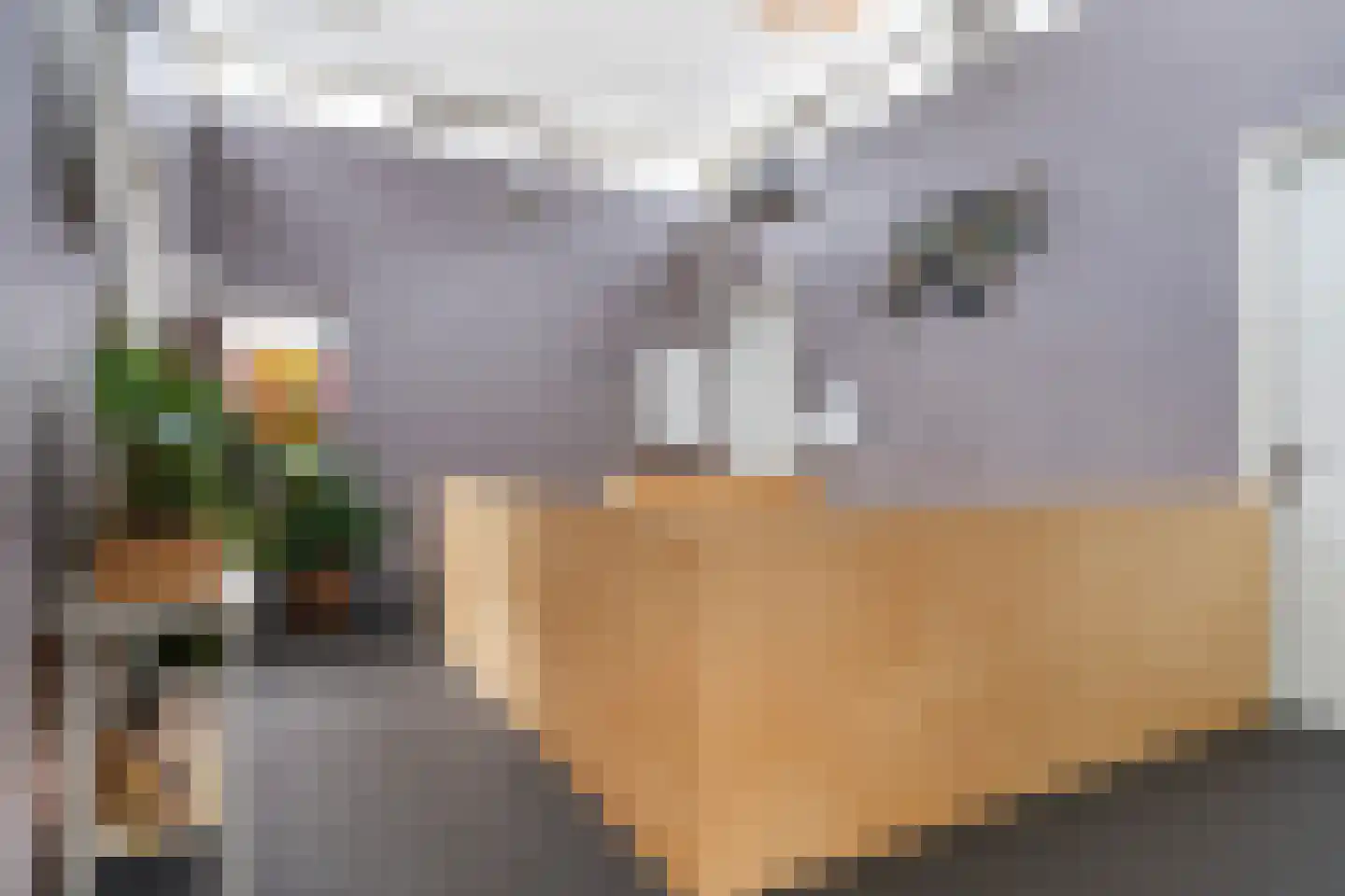 Zandweegbree 4 Wolvega thumbnail 39
