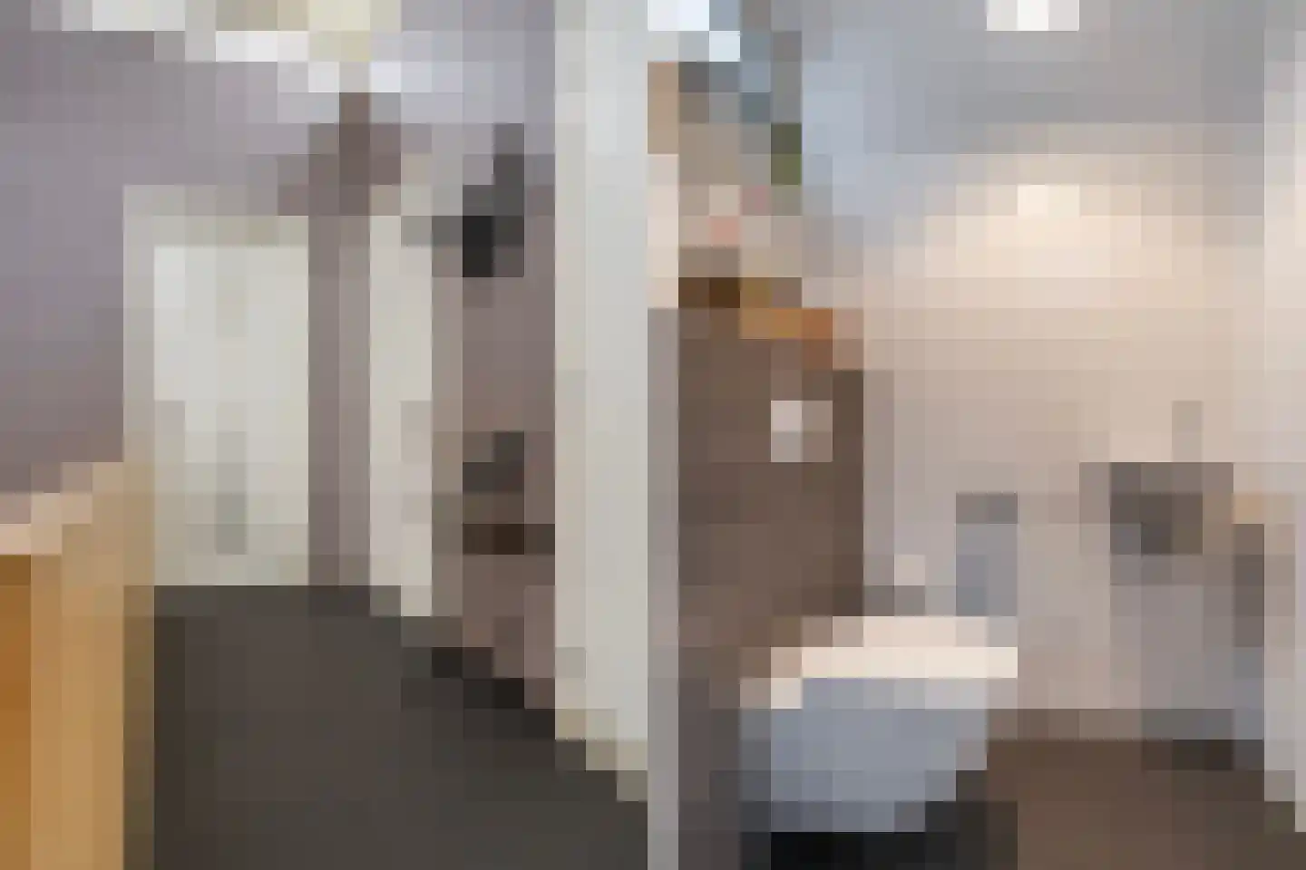 Zandweegbree 4 Wolvega thumbnail 40