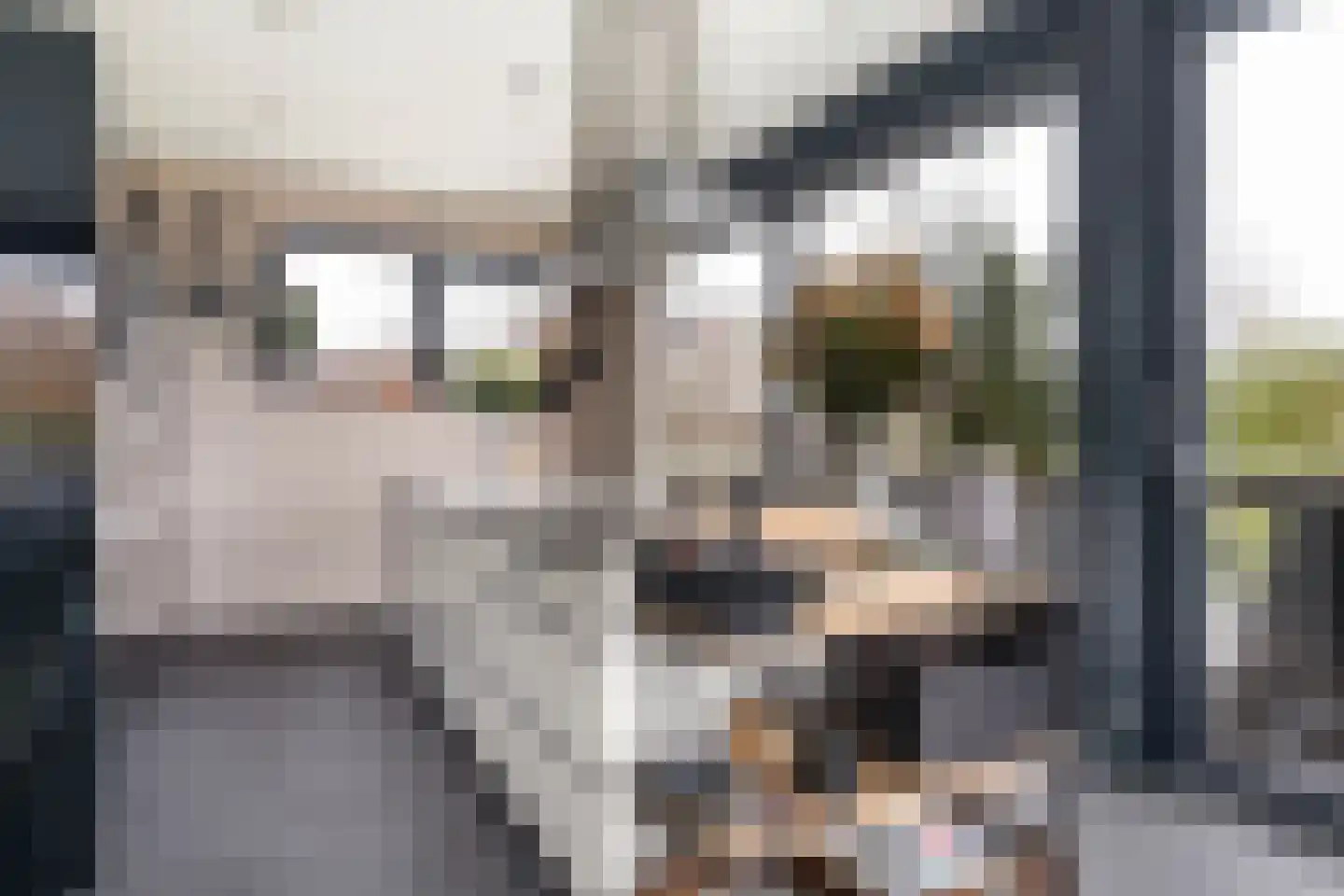 Zandweegbree 4 Wolvega thumbnail 47