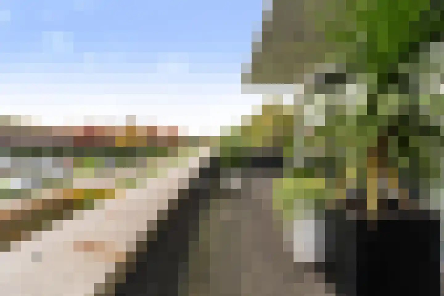Zandweegbree 4 Wolvega thumbnail 49