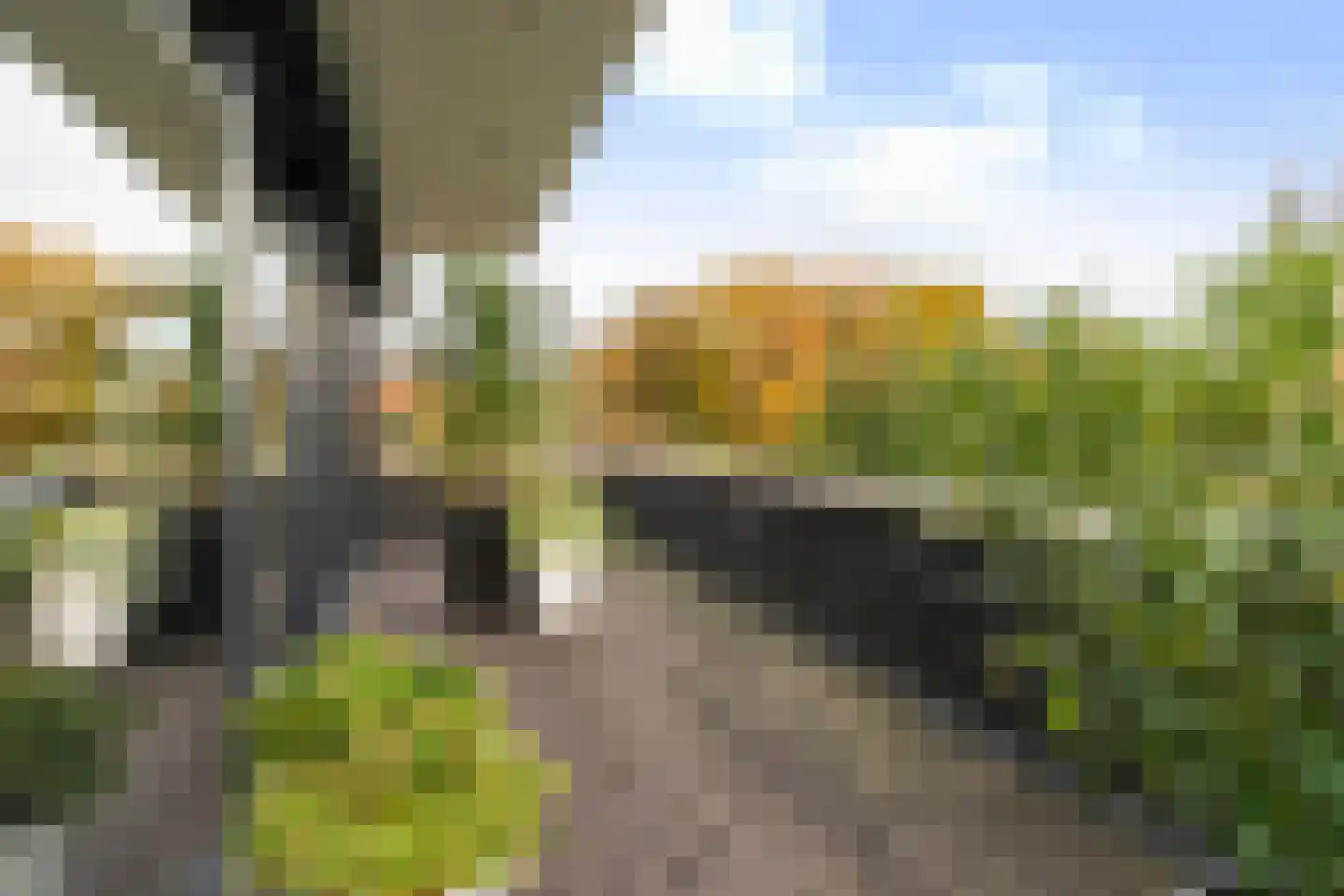 Zandweegbree 4 Wolvega thumbnail 53