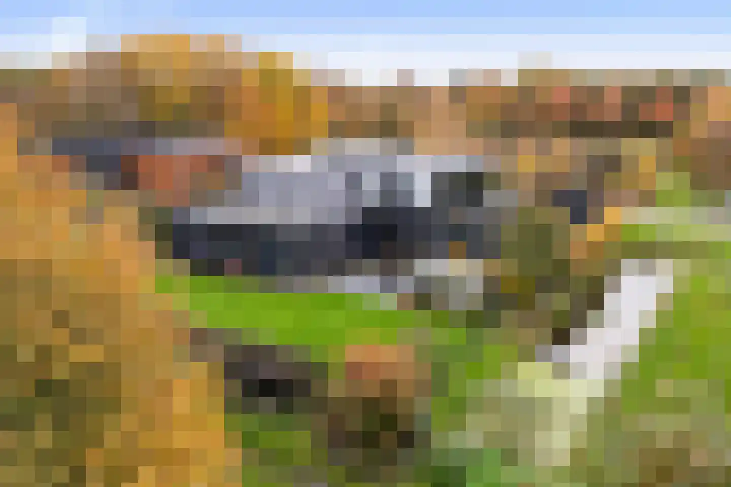 Zandweegbree 4 Wolvega thumbnail 64