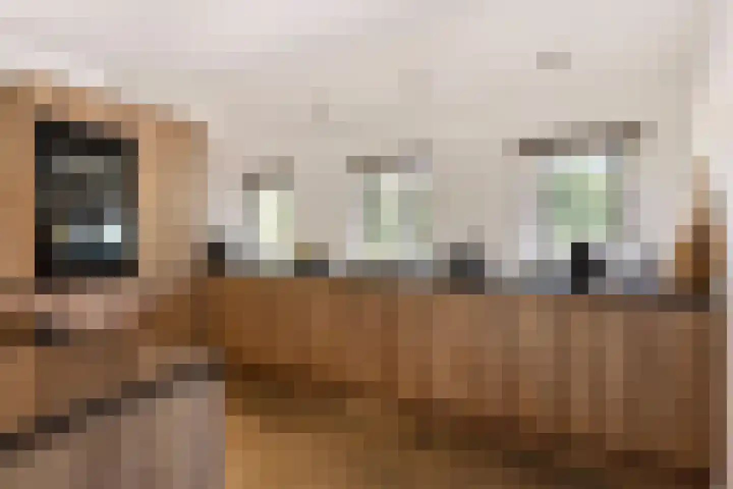 Zandweg 1 Sirjansland thumbnail 11