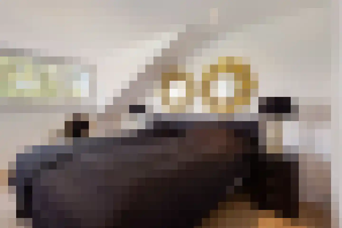 Zandweg 1 Sirjansland thumbnail 16