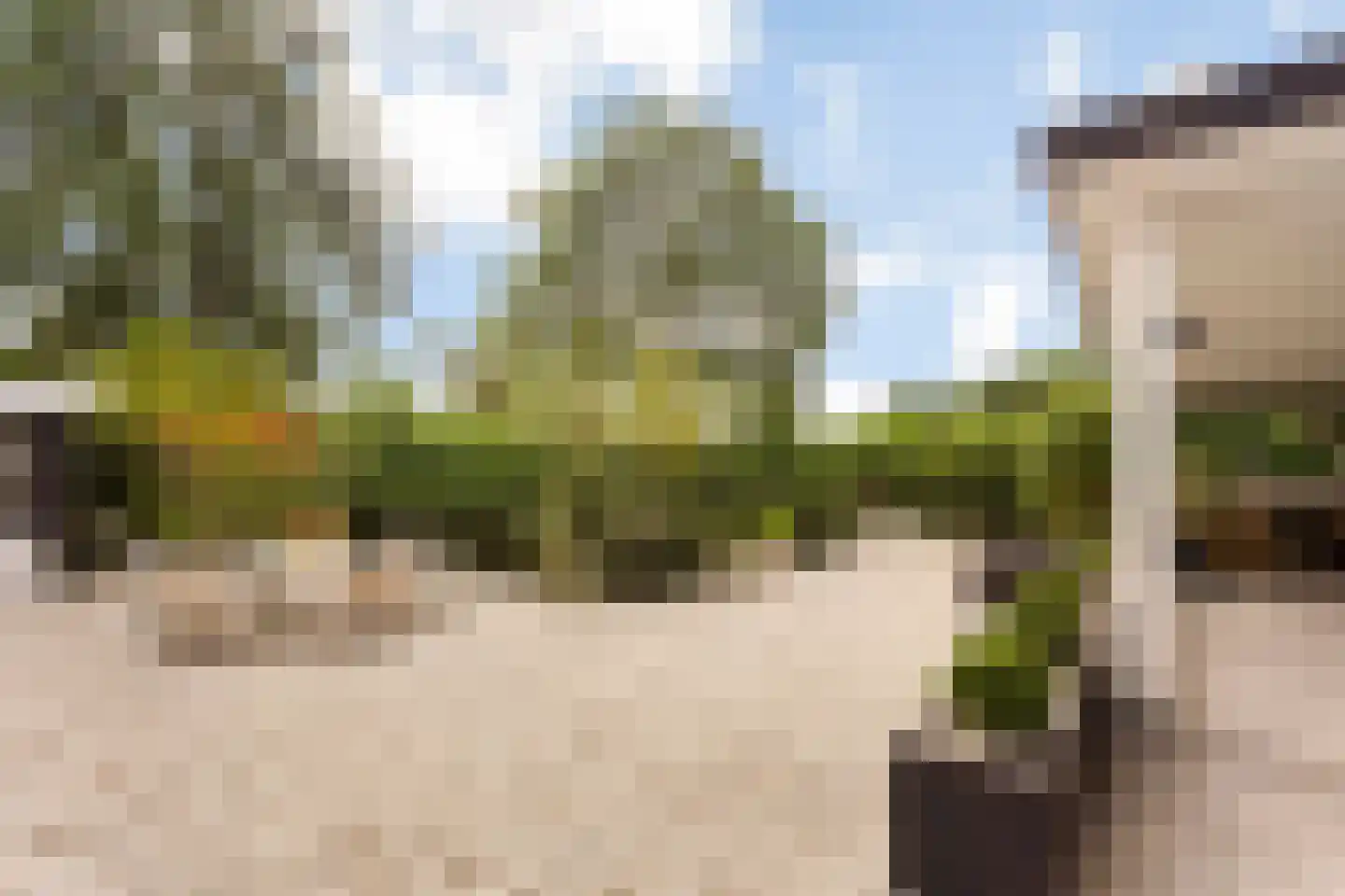 Zandweg 1 Sirjansland thumbnail 21