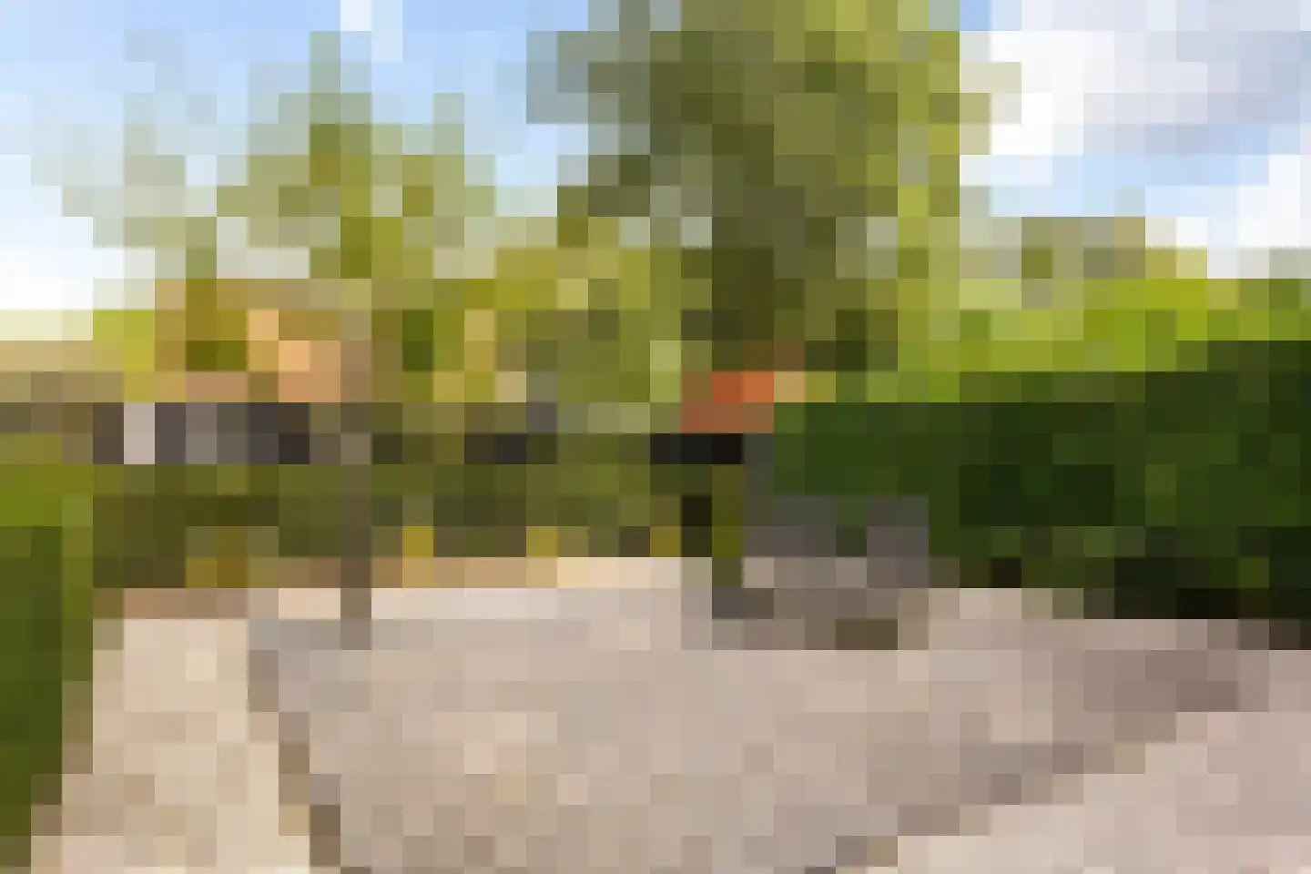 Zandweg 1 Sirjansland thumbnail 23