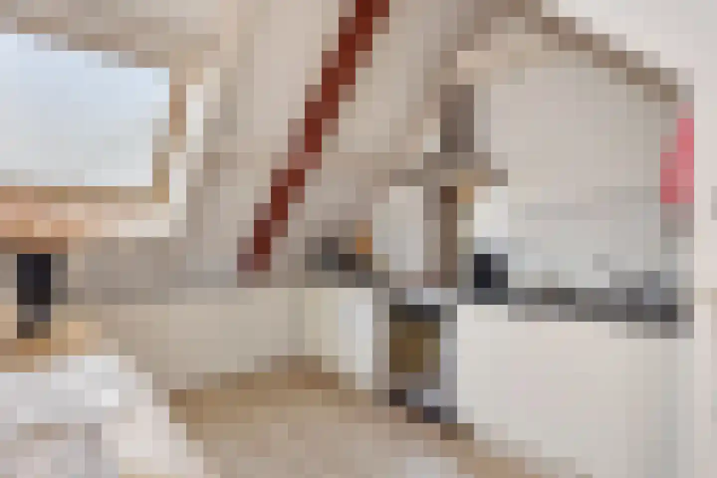 Zandweg 1 Sirjansland thumbnail 32