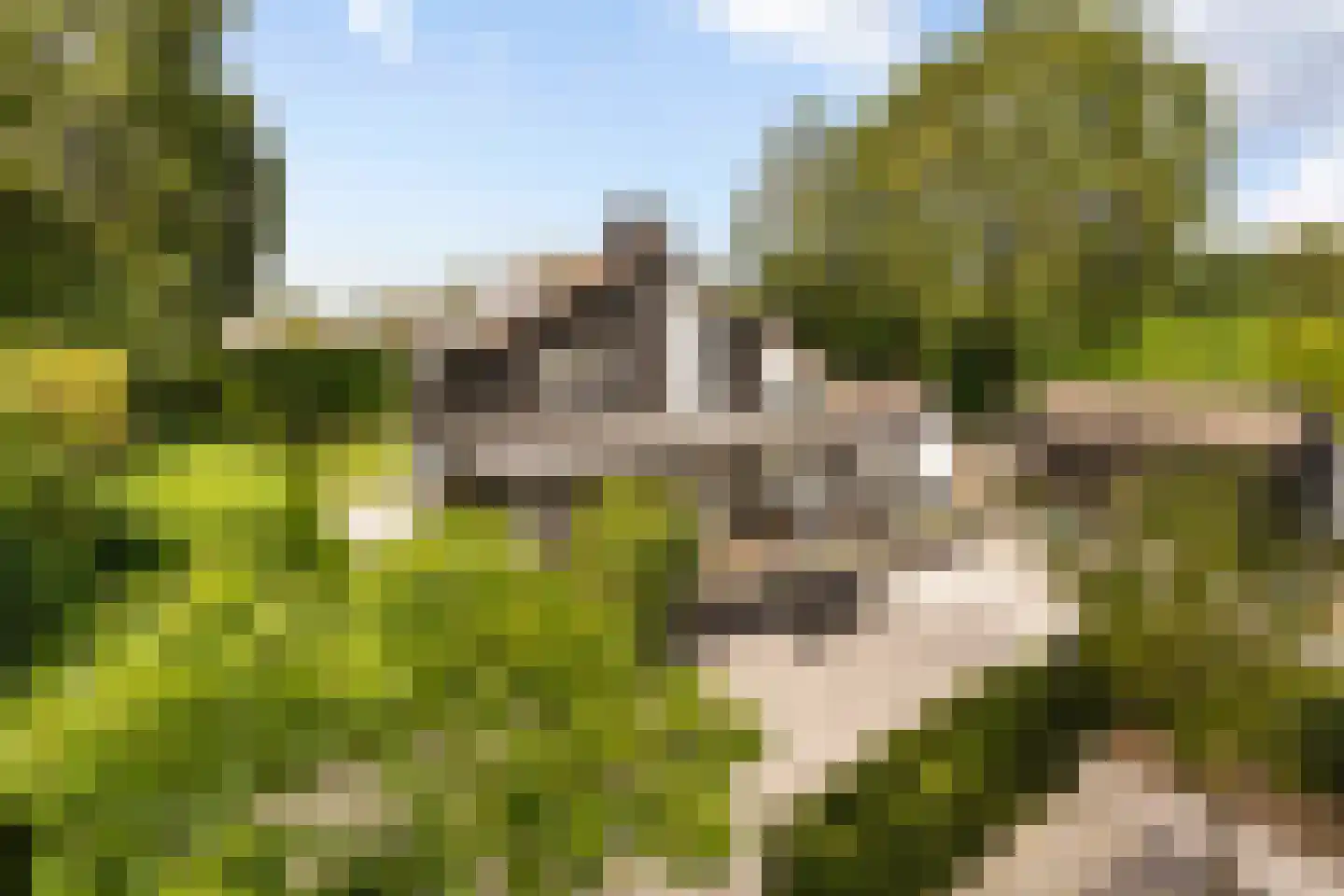 Zandweg 1 Sirjansland thumbnail 4