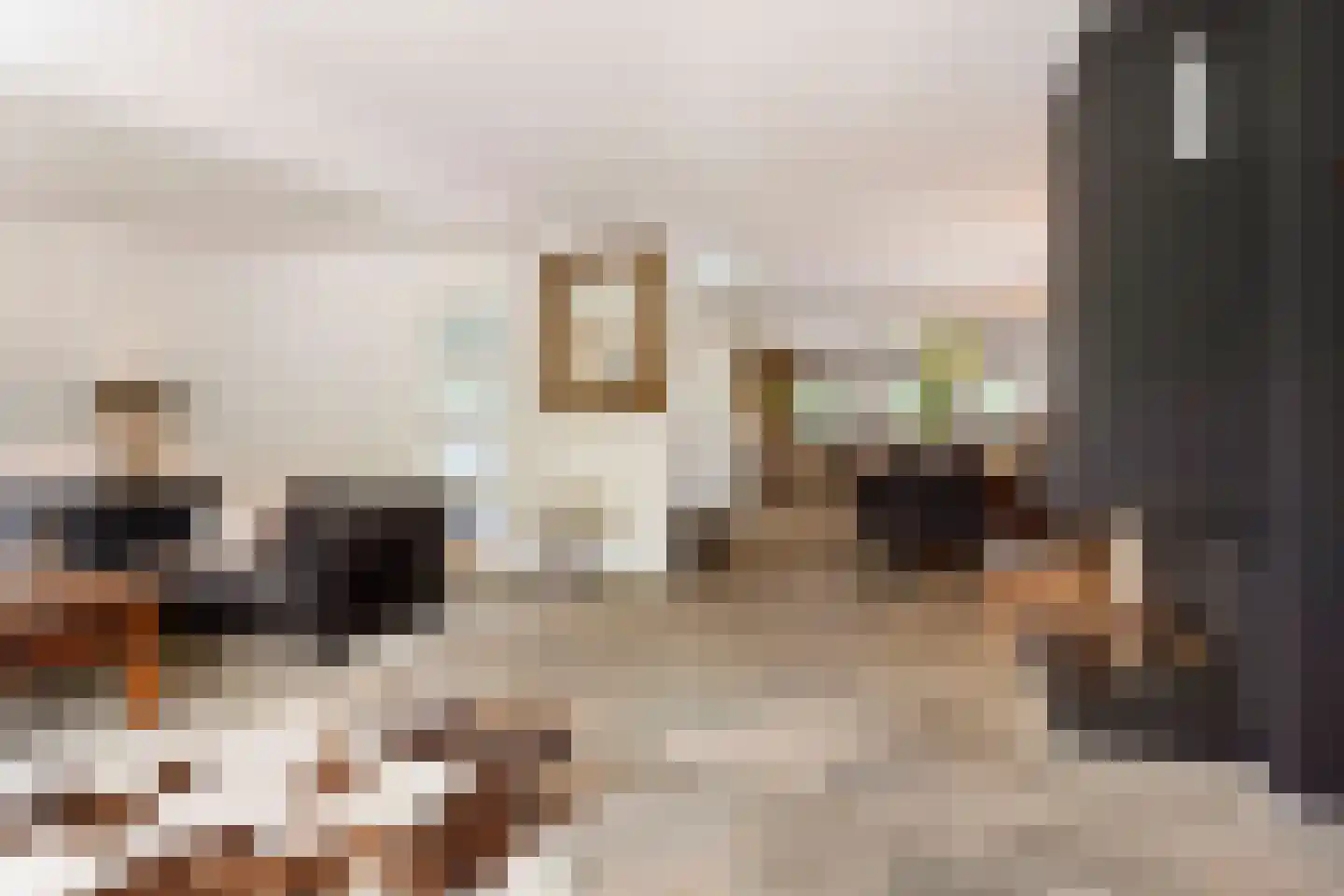Zandweg 1 Sirjansland thumbnail 8