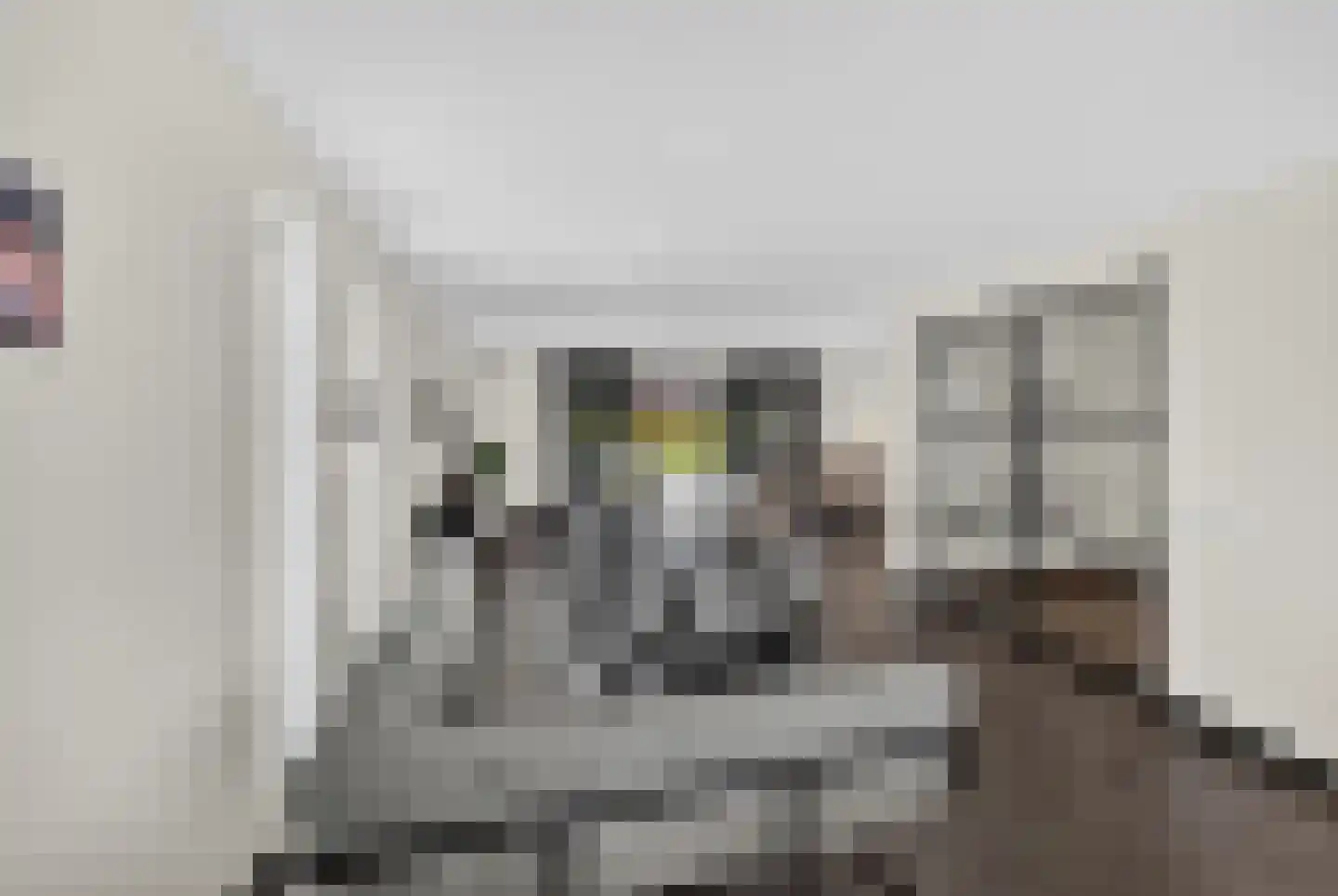 Zandweg 10 Achthuizen thumbnail 14