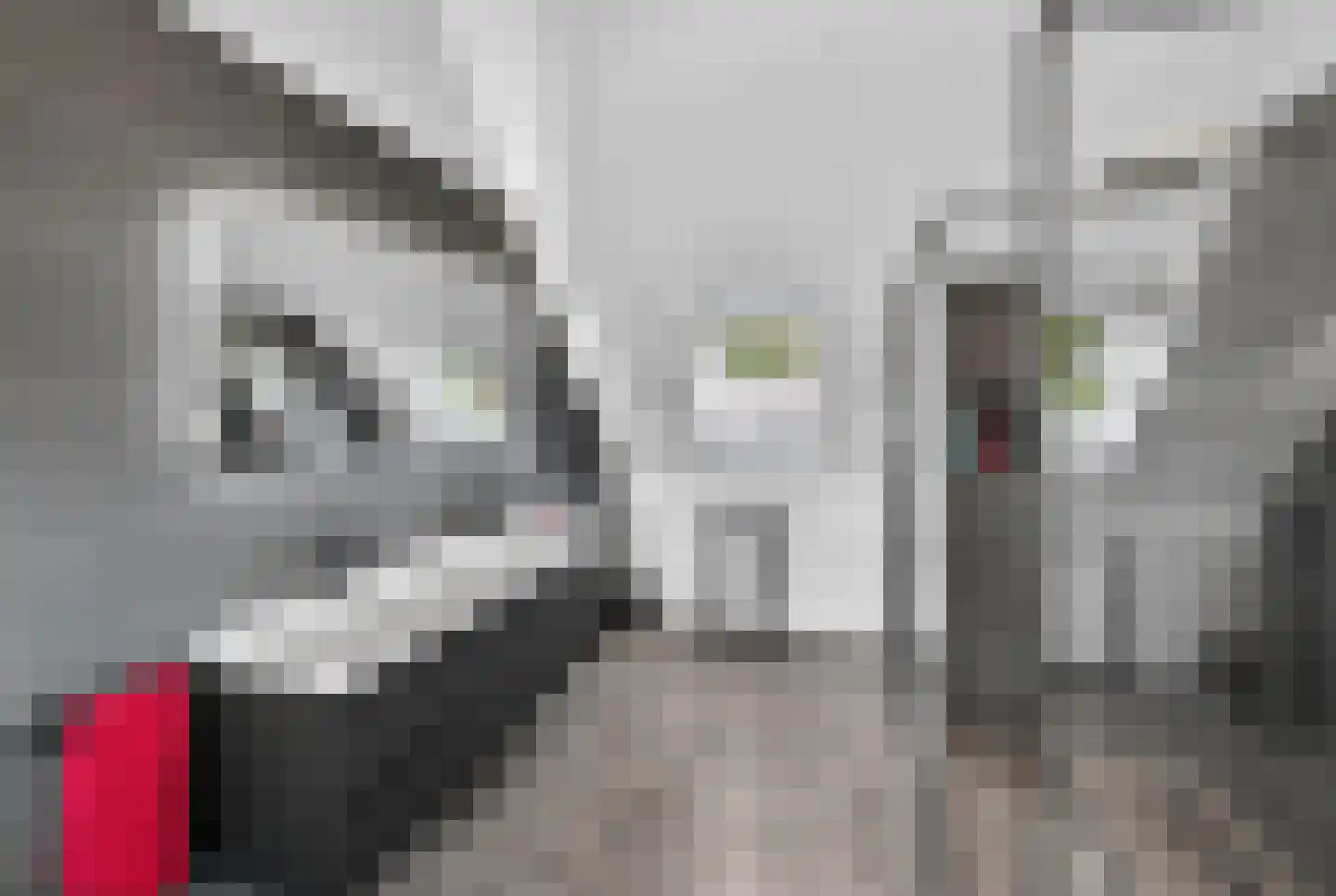 Zandweg 10 Achthuizen thumbnail 40