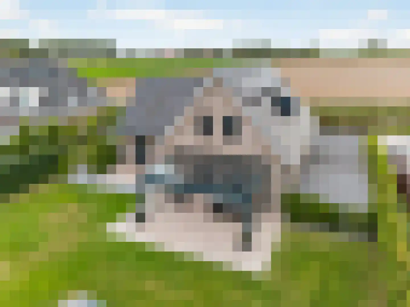 Zandweg 10 Achthuizen thumbnail 51