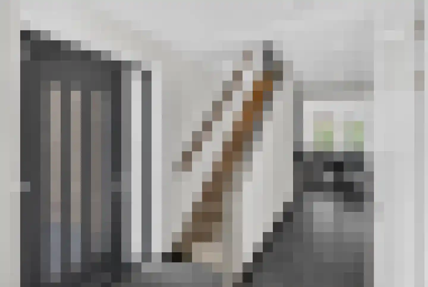 Zandweg 10 Achthuizen thumbnail 6