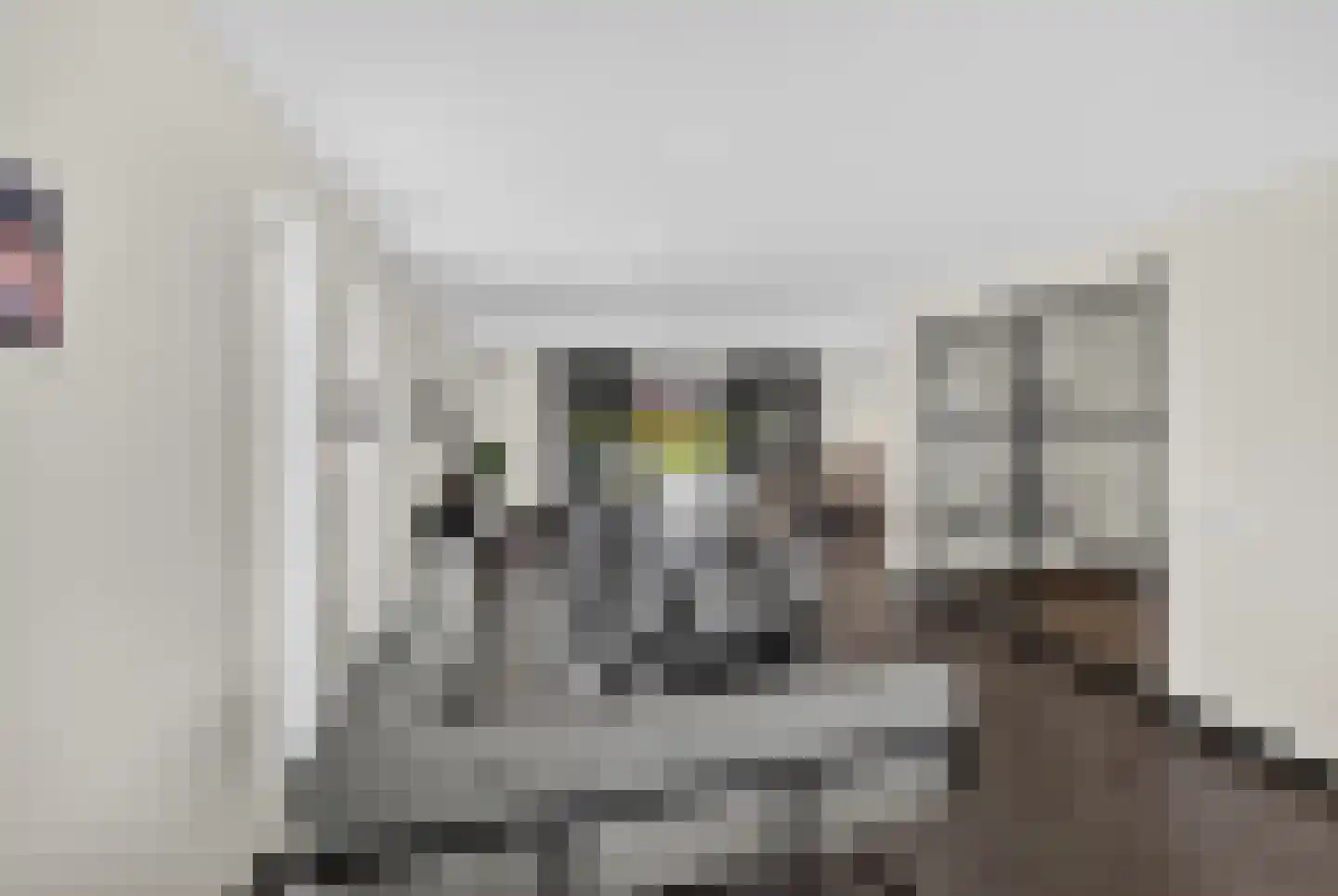 Zandweg 10 Achthuizen thumbnail 7