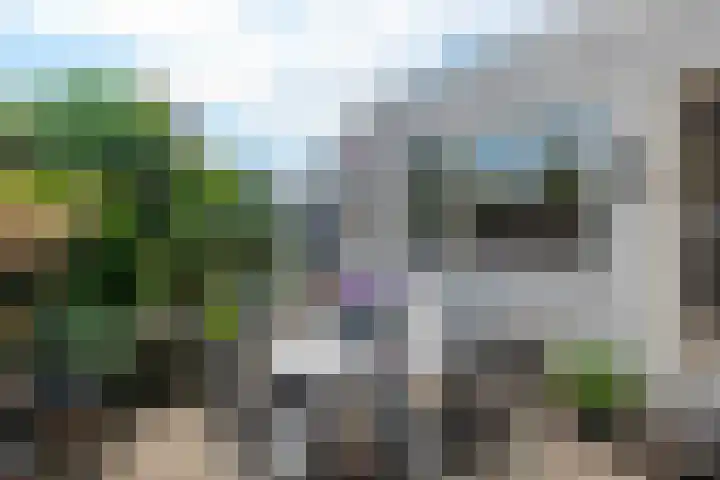 Zandweg 103 Wormer thumbnail 26