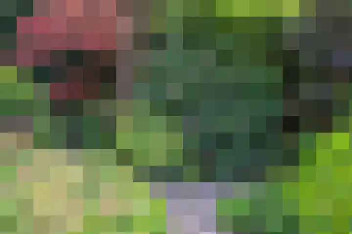 Zandweg 103 Wormer thumbnail 28