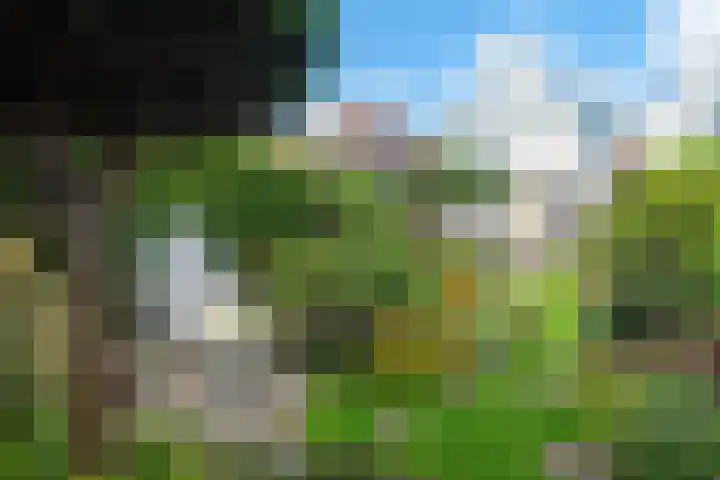 Zandweg 103 Wormer thumbnail 29
