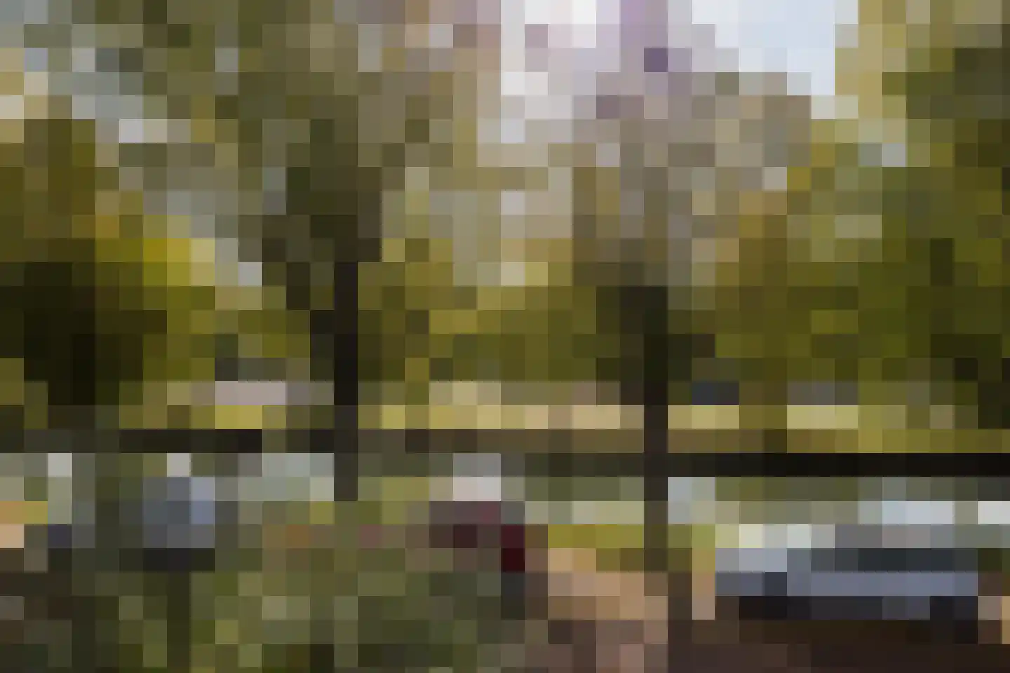 Zandweg 106 De Meern thumbnail 36