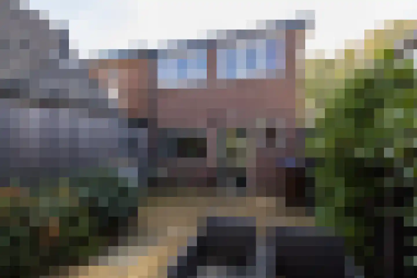 Zandweg 106 De Meern thumbnail 48