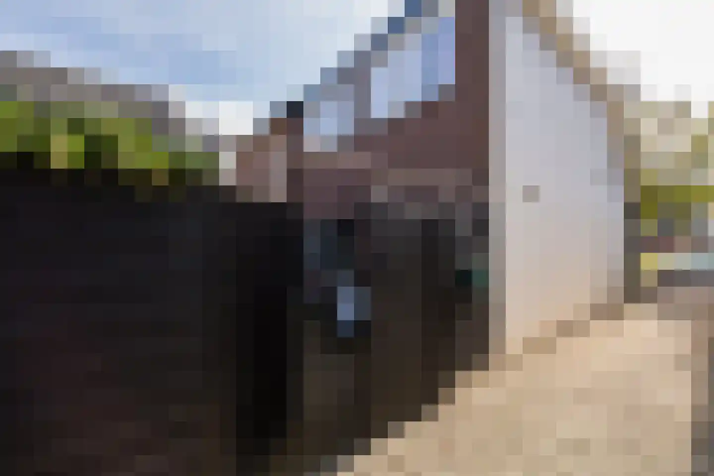 Zandweg 106 De Meern thumbnail 52