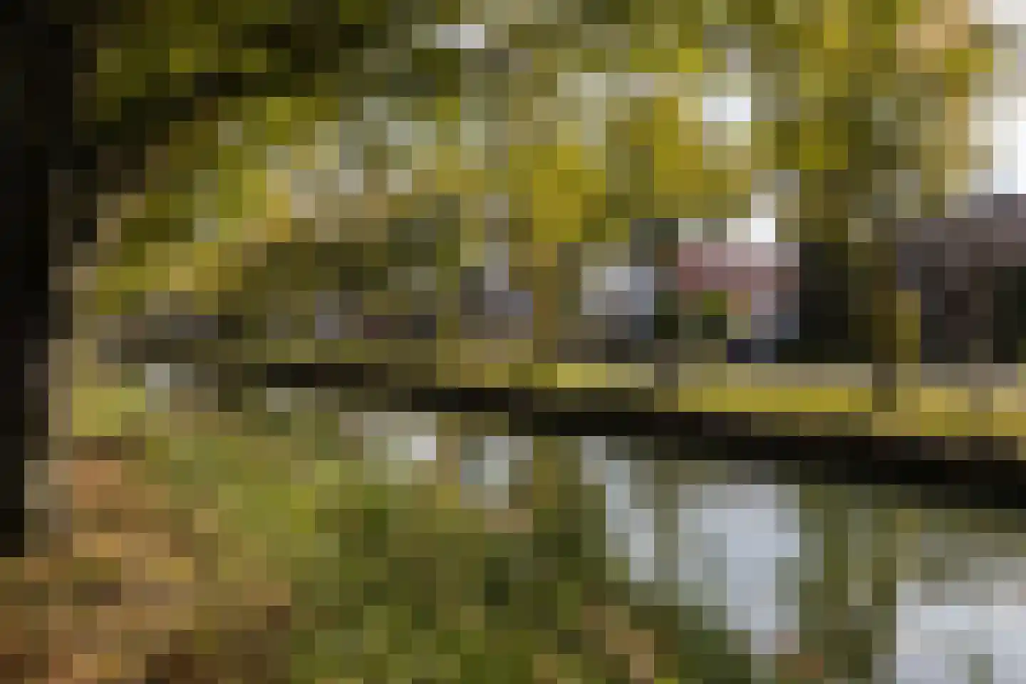 Zandweg 106 De Meern thumbnail 56