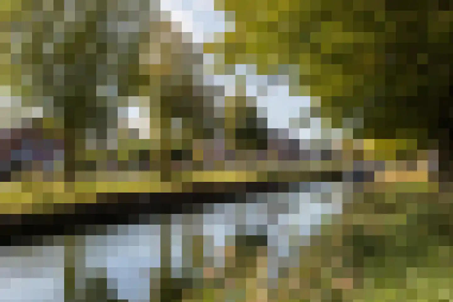 Zandweg 106 De Meern thumbnail 57