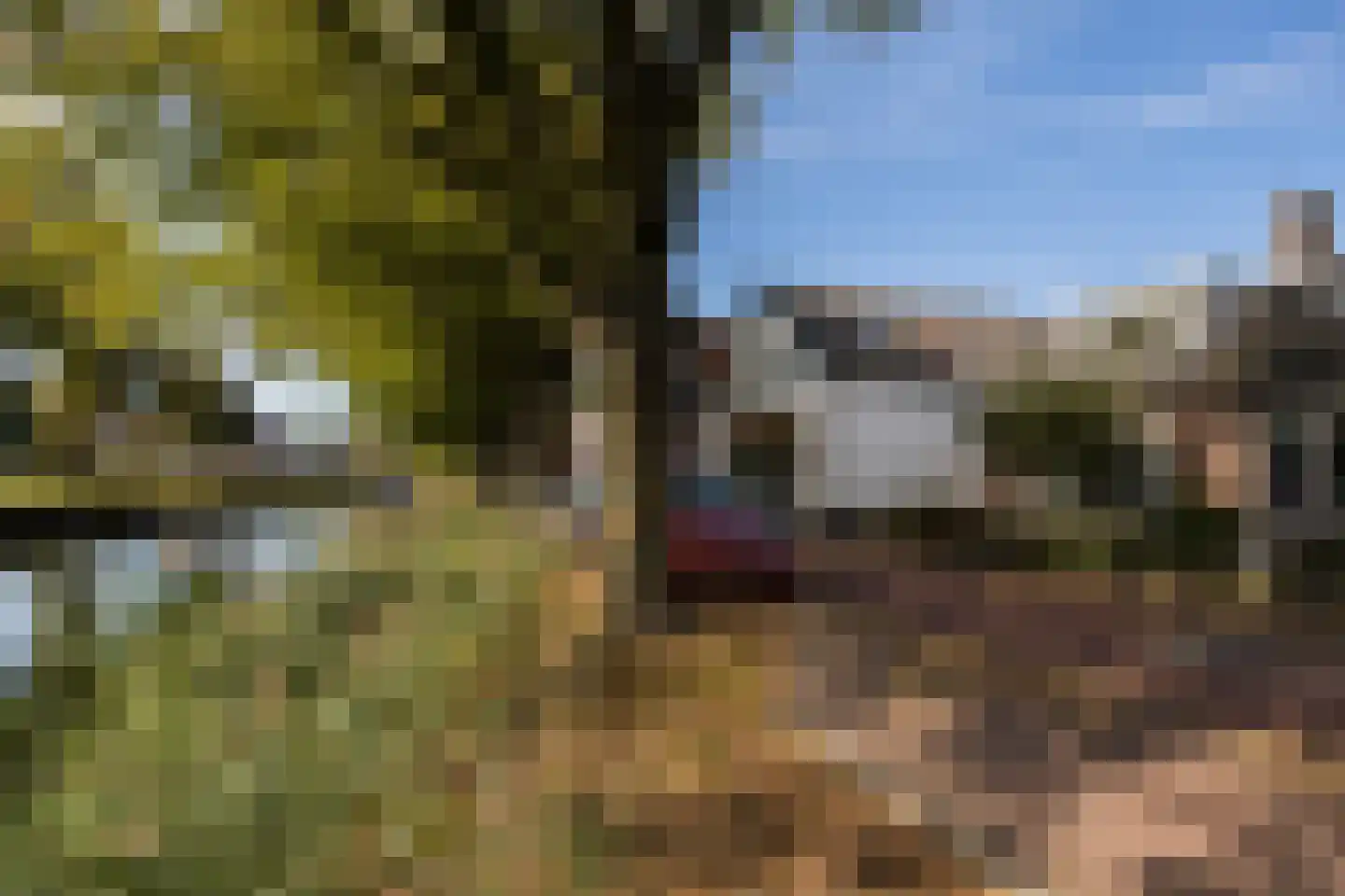 Zandweg 106 De Meern thumbnail 58