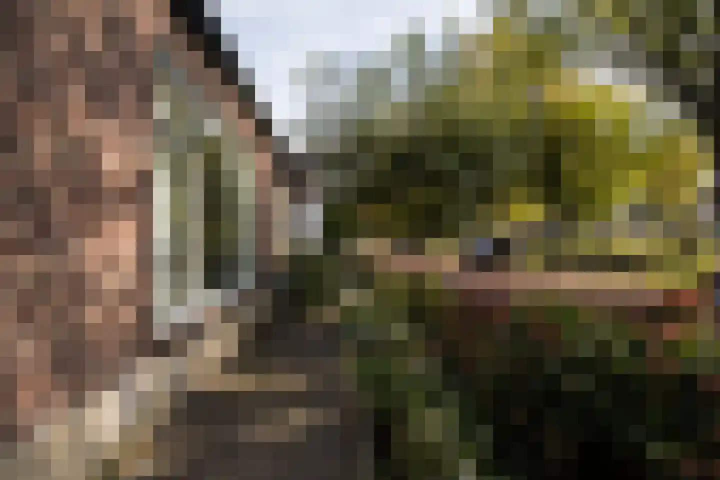 Zandweg 106 De Meern thumbnail 59