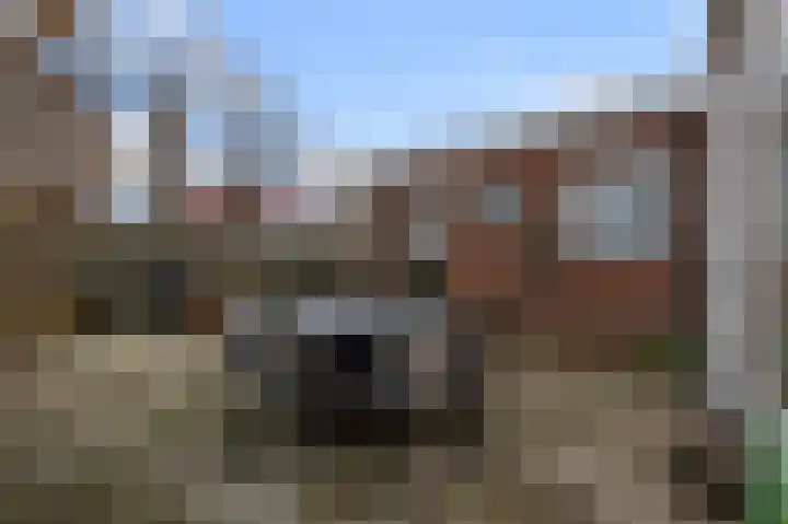 Zandweg 114 Wormer thumbnail 15