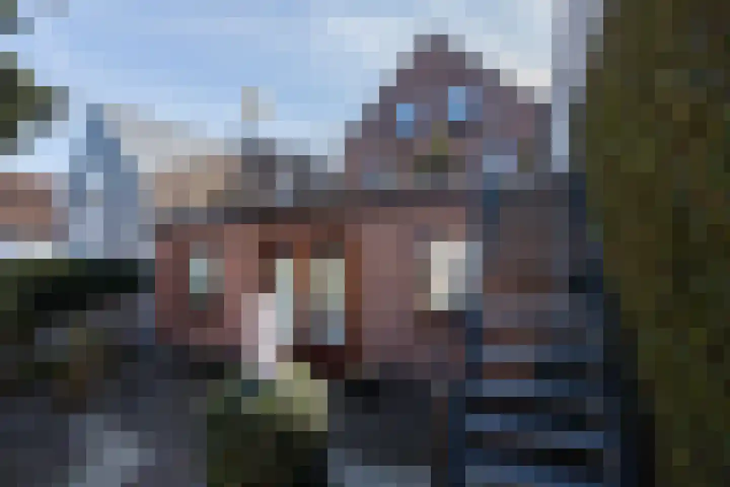 Zandweg 116 De Meern thumbnail 21