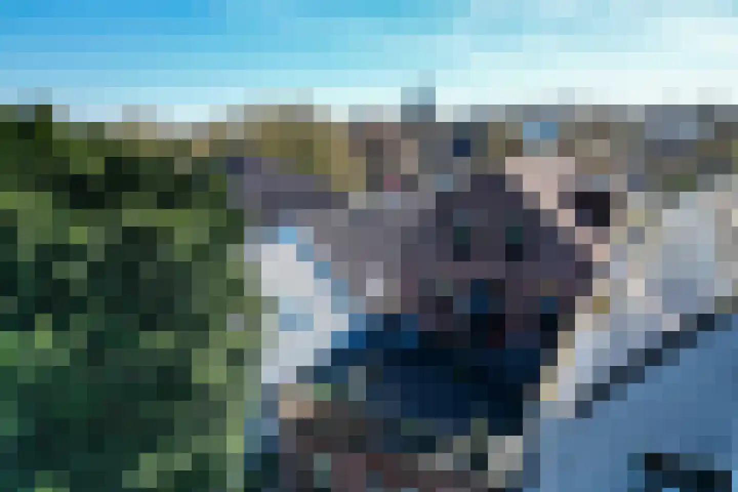 Zandweg 116 De Meern thumbnail 32