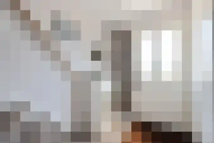 Zandweg 118 Wormer thumbnail 14