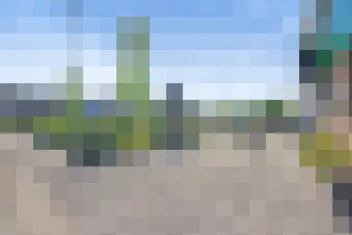 Zandweg 118 Wormer thumbnail 29