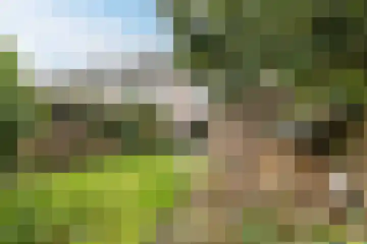 Zandweg 12 Renkum thumbnail 28