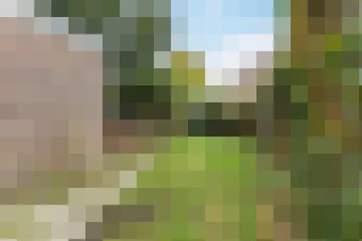 Zandweg 12 Renkum thumbnail 29