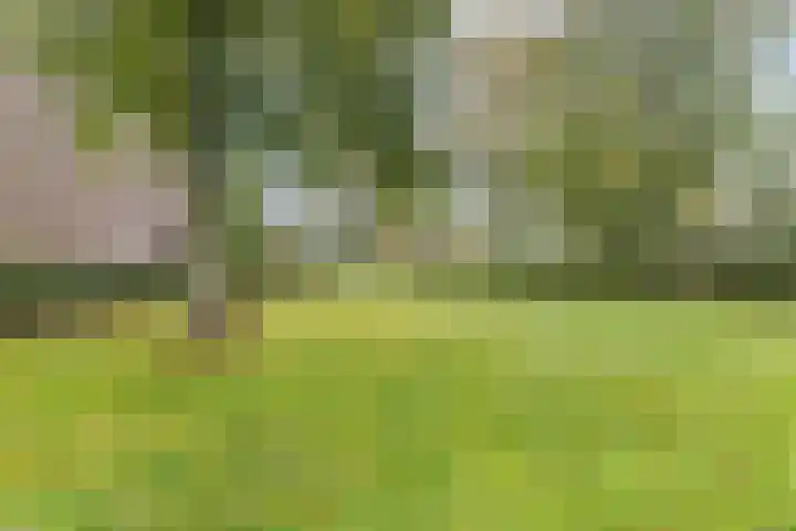 Zandweg 12 Renkum thumbnail 30
