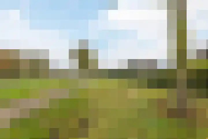 Zandweg 12 Renkum thumbnail 31