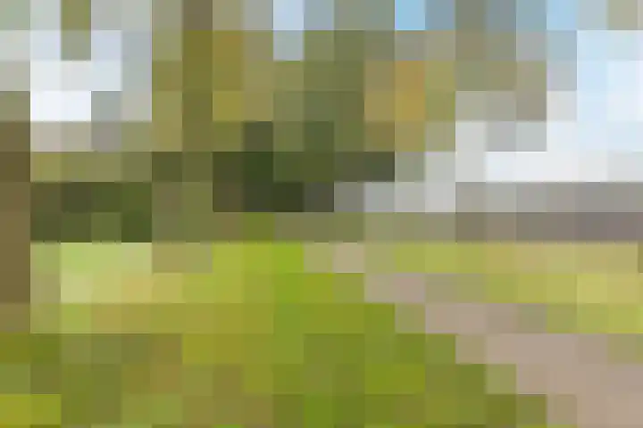 Zandweg 12 Renkum thumbnail 32