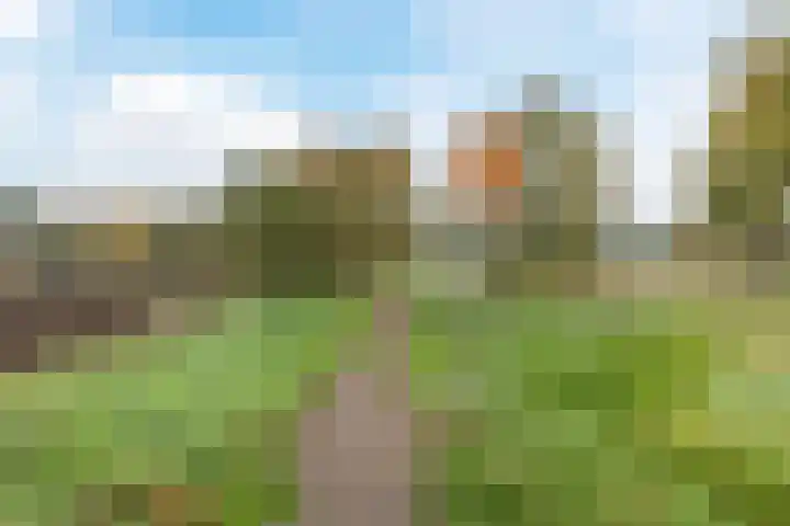 Zandweg 12 Renkum thumbnail 33