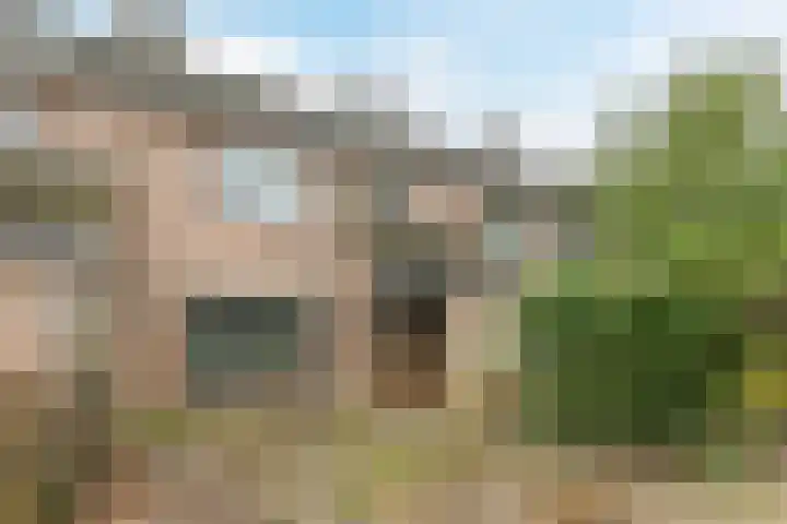 Zandweg 12 Renkum thumbnail 6