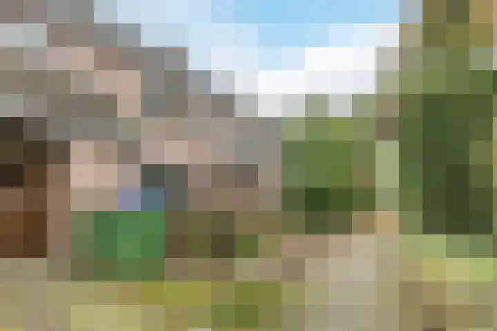 Zandweg 12 Renkum thumbnail 7