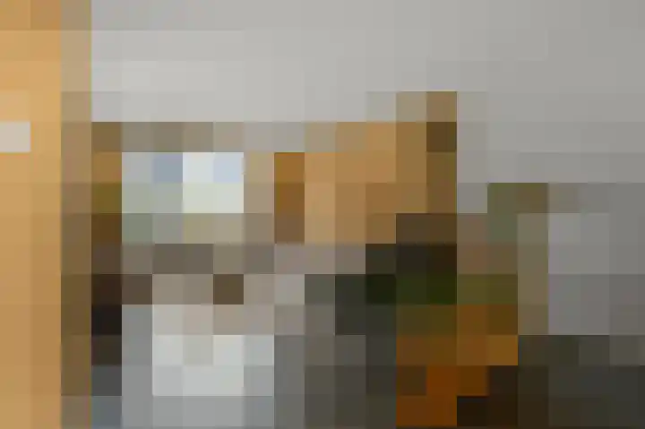 Zandweg 123 Wormer thumbnail 4