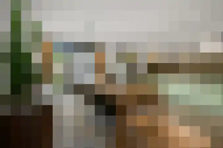 Zandweg 123 Wormer thumbnail 7