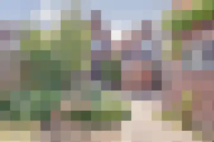 Zandweg 14 Kruiningen thumbnail 28