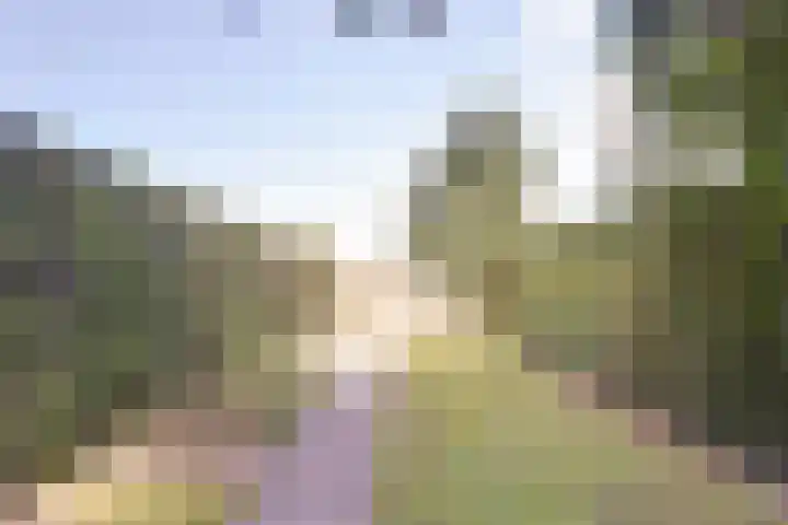 Zandweg 14 Kruiningen thumbnail 29